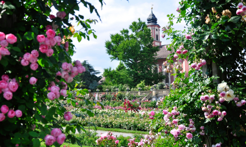 © Insel Mainau / Marketing